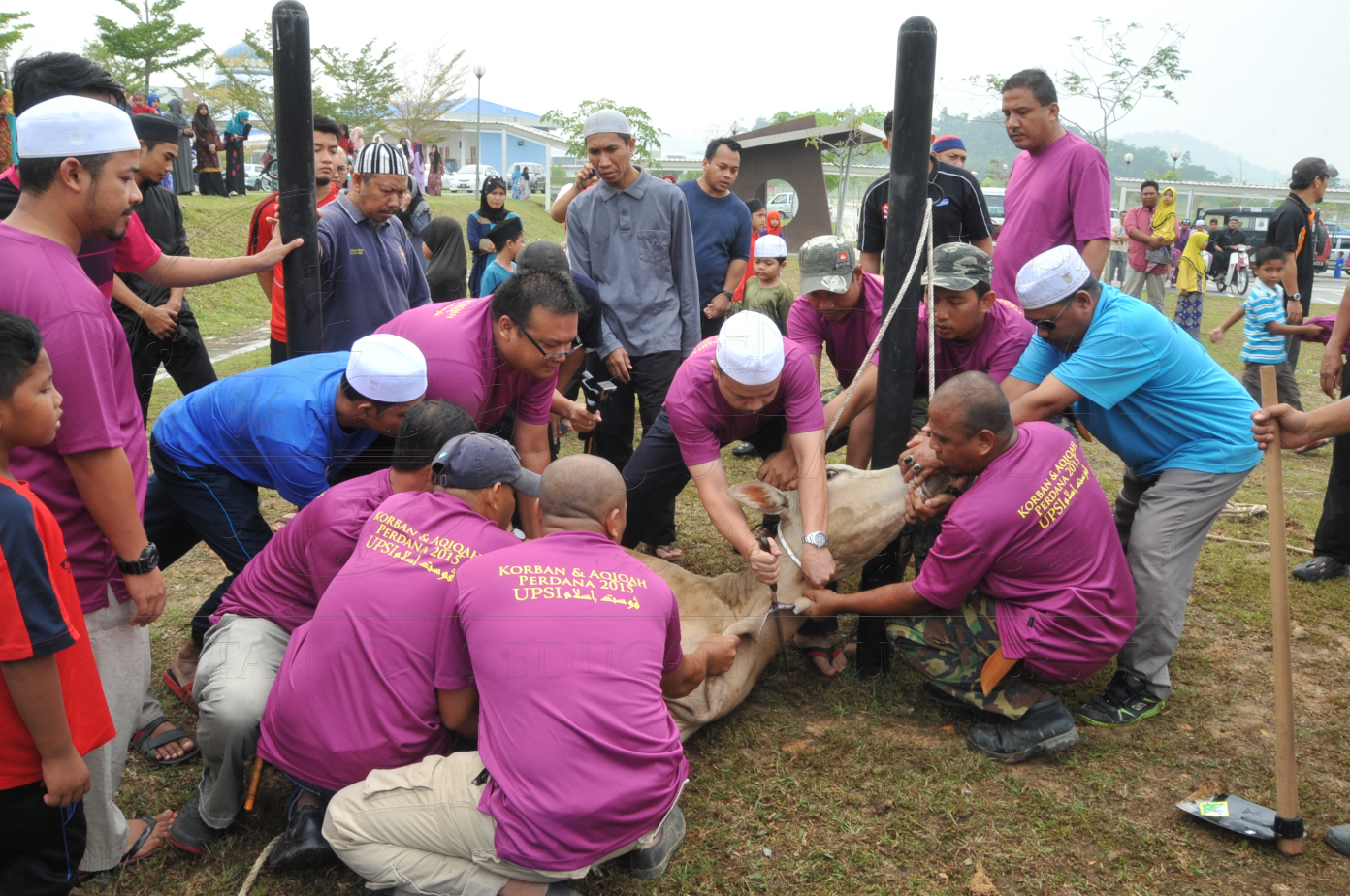 PRO15 150 KORBAN HAS 6706